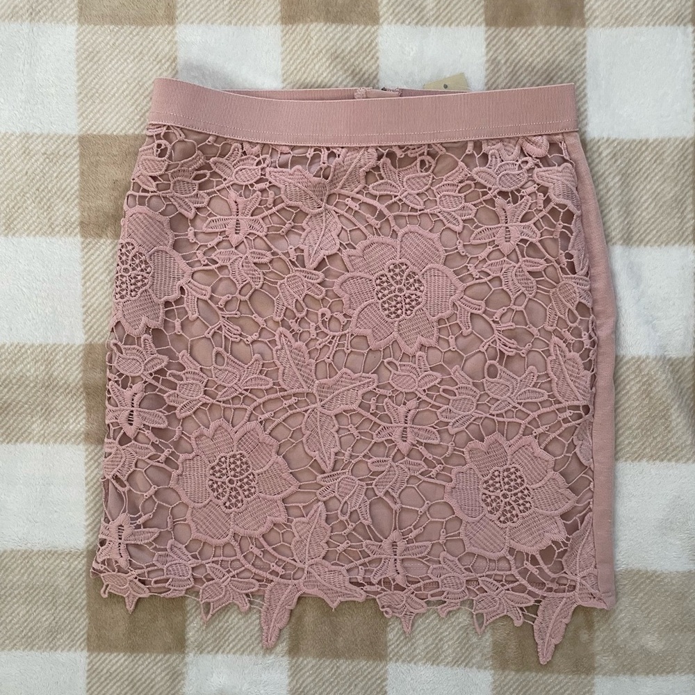 American Eagle Outfitters Blush Light Pink Embroidered Lace Pencil Skirt